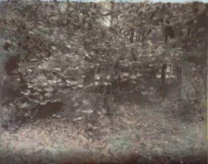 Wald