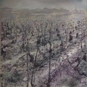 Vineyard - Image 2