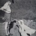 Franz