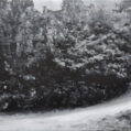 Grove