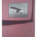 Plane