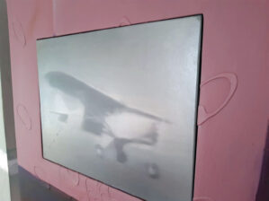 Plane - Image 4