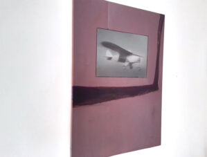 Plane - Image 2
