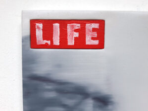 Life - Image 3